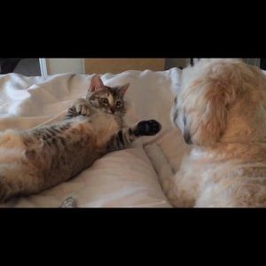 Meet your Posher, Suzanne